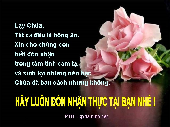 Lạy Chúa, Tất cả đều là hồng ân. Xin cho chúng con biết đón