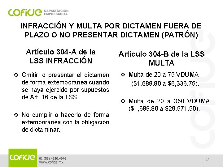 INFRACCIÓN Y MULTA POR DICTAMEN FUERA DE PLAZO O NO PRESENTAR DICTAMEN (PATRÓN) Artículo