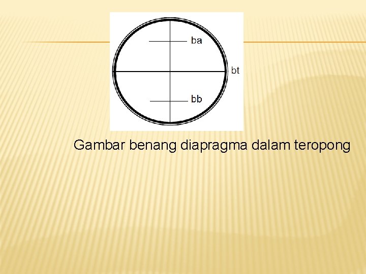 Gambar benang diapragma dalam teropong Gambar benang diapragma dalam teropong