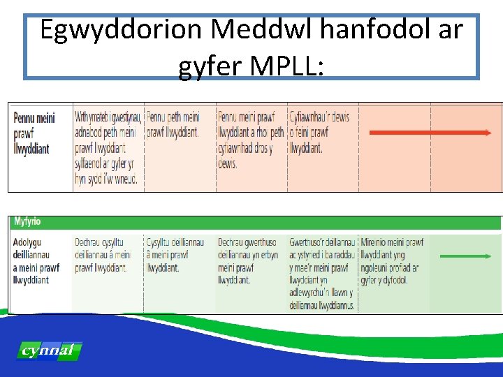 Egwyddorion Meddwl hanfodol ar gyfer MPLL: 