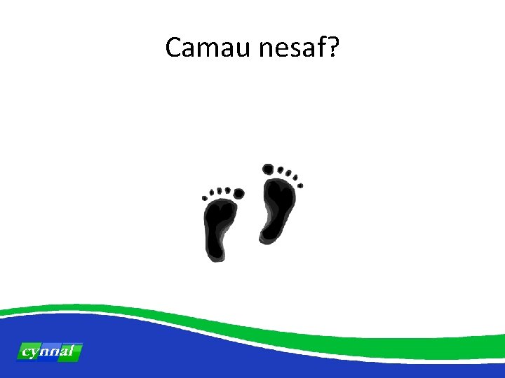 Camau nesaf? 