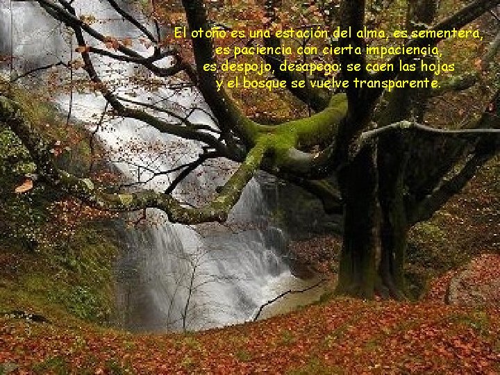 El otoño es una estación del alma, es sementera, es paciencia con cierta impaciencia,