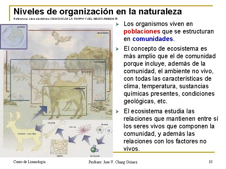 Niveles de organización en la naturaleza Referencia: Libro electrónico CIENCIAS DE LA TIERRA Y