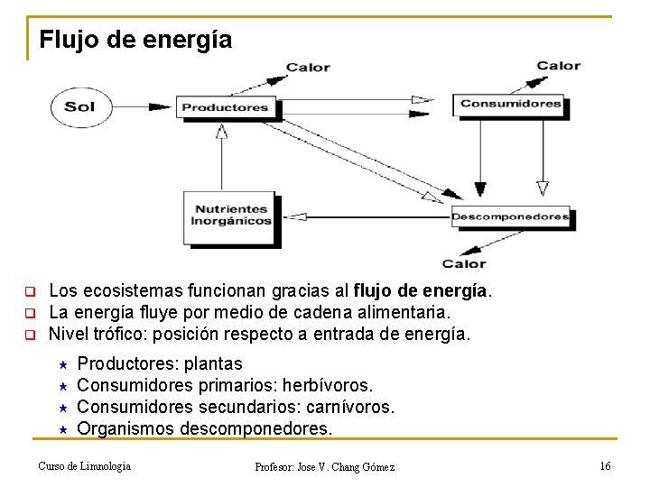 Flujo de energía q q q Los ecosistemas funcionan gracias al flujo de energía.