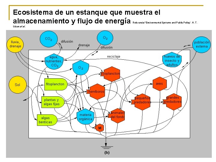 Ecosistema de un estanque muestra el almacenamiento y flujo de energía Referencia: "Environmental Systems