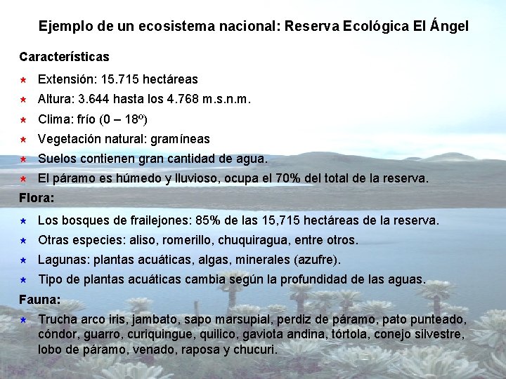 Ejemplo de un ecosistema nacional: Reserva Ecológica El Ángel Características « Extensión: 15. 715