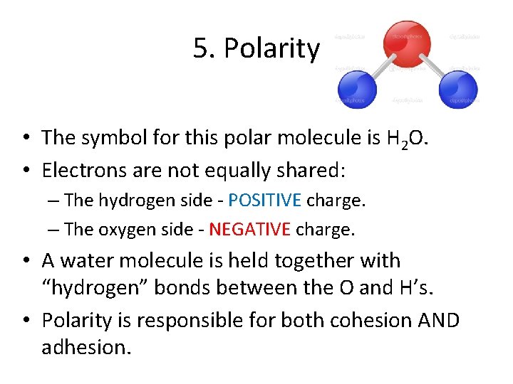 5. Polarity • The symbol for this polar molecule is H 2 O. • 5. Polarity • The symbol for this polar molecule is H 2 O. •