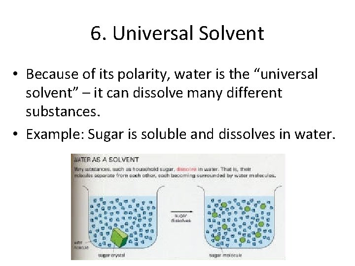 6. Universal Solvent • Because of its polarity, water is the “universal solvent” – 6. Universal Solvent • Because of its polarity, water is the “universal solvent” –