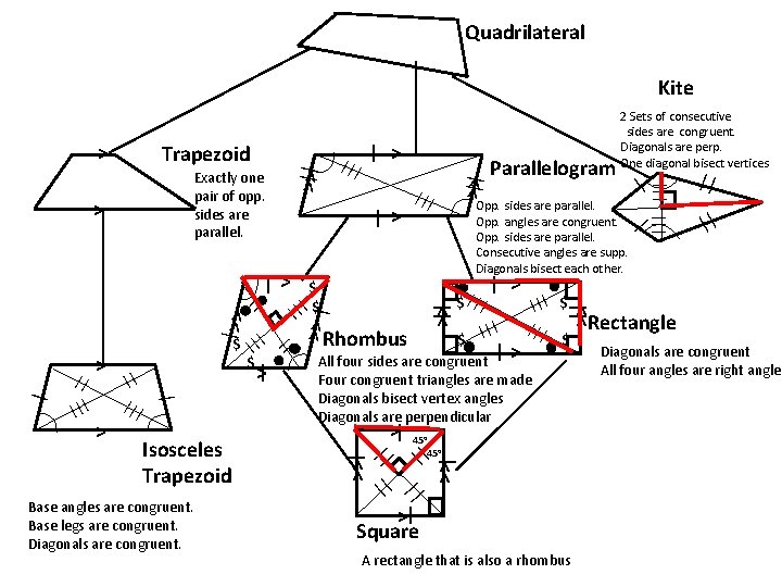 Quadrilateral Kite |> $ Opp. sides are parallel. Opp. angles are congruent. Opp. sides