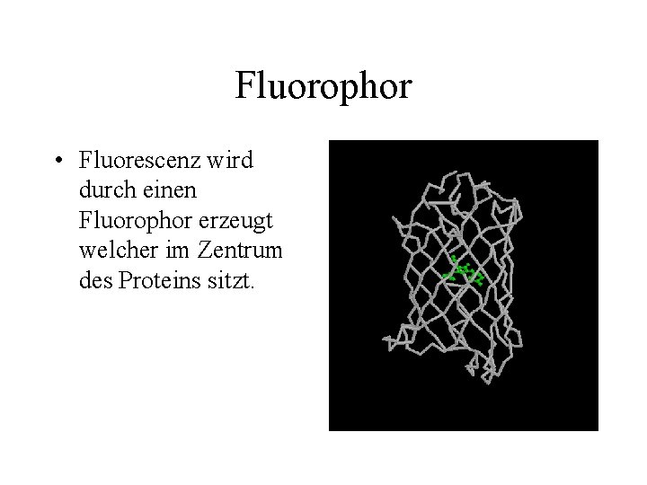Fluorophor • Fluorescenz wird durch einen Fluorophor erzeugt welcher im Zentrum des Proteins sitzt.