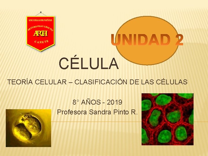 CÉLULA TEORÍA CELULAR – CLASIFICACIÓN DE LAS CÉLULAS 8° AÑOS - 2019 Profesora Sandra