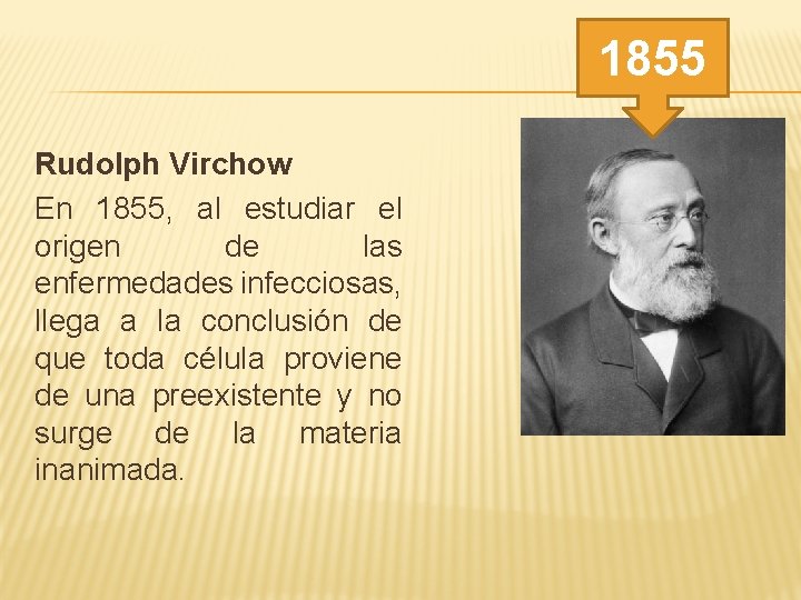 1855 Rudolph Virchow En 1855, al estudiar el origen de las enfermedades infecciosas, llega