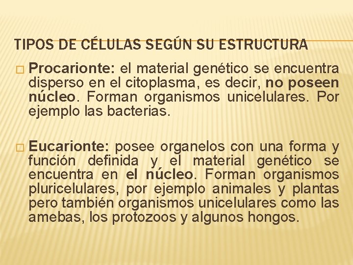 TIPOS DE CÉLULAS SEGÚN SU ESTRUCTURA � Procarionte: el material genético se encuentra disperso
