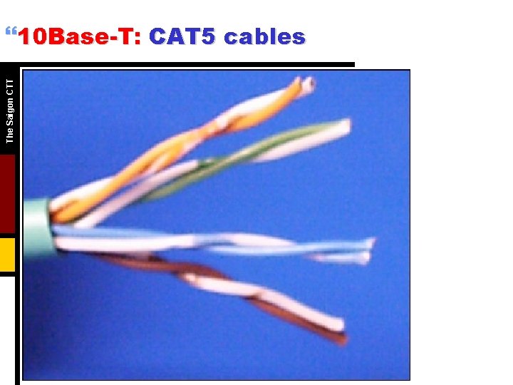 The Saigon CTT }10 Base-T: CAT 5 cables The Saigon CTT }10 Base-T: CAT 5 cables