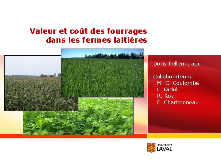 Valeur et coût des fourrages dans les fermes laitières Doris Pellerin, agr. Collaborateurs: M.