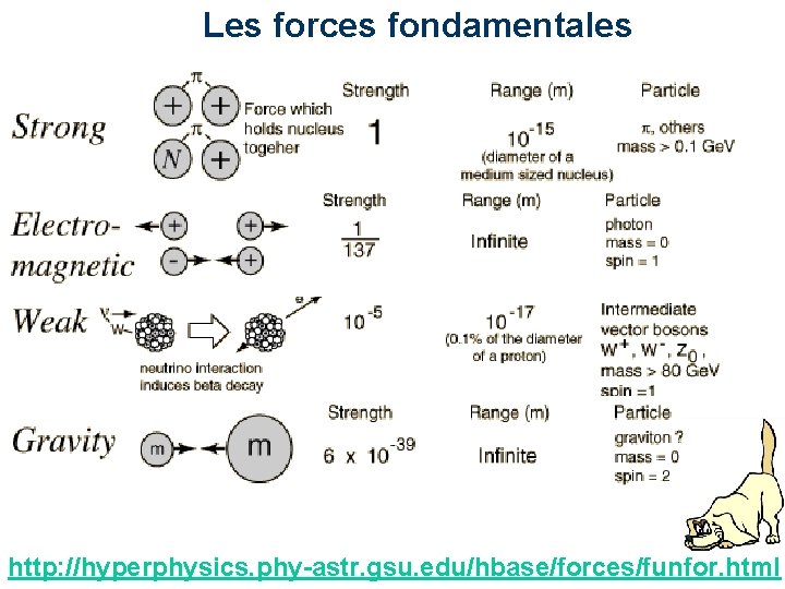 Les forces fondamentales http: //hyperphysics. phy-astr. gsu. edu/hbase/forces/funfor. html 