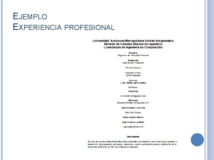 EJEMPLO EXPERIENCIA PROFESIONAL EJEMPLO EXPERIENCIA PROFESIONAL