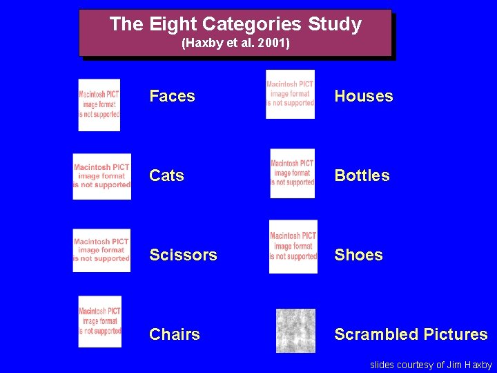 The Eight Categories Study (Haxby et al. 2001) Faces Houses Cats Bottles Scissors Shoes