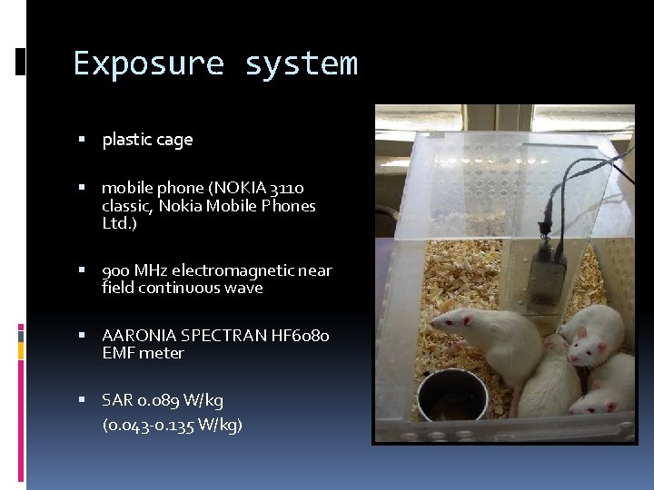 Exposure system plastic cage mobile phone (NOKIA 3110 classic, Nokia Mobile Phones Ltd. )