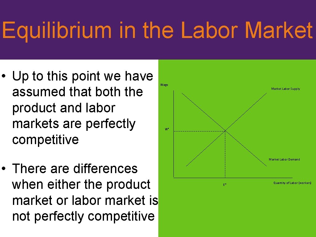 Equilibrium in the Labor Market • Up to this point we have assumed that