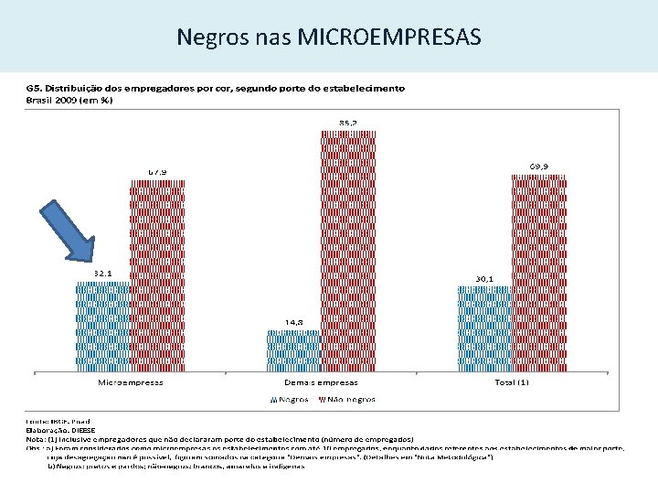 Negros nas MICROEMPRESAS 