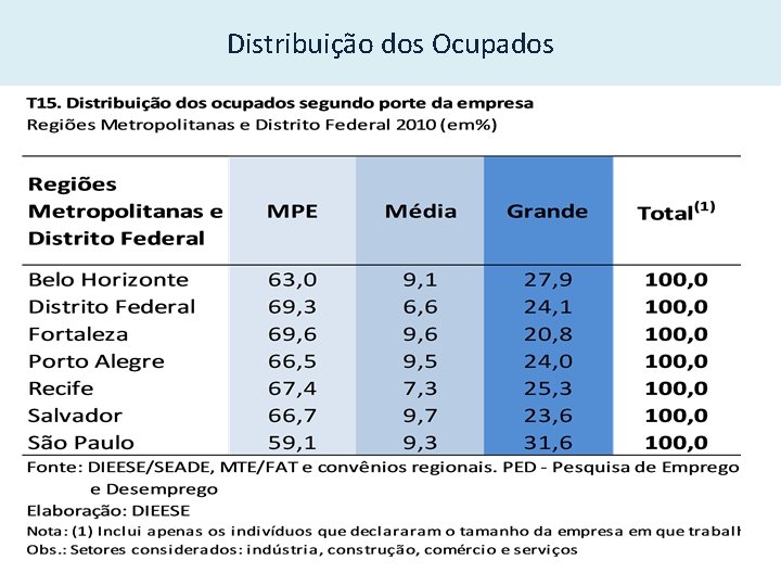 Distribuição dos Ocupados 