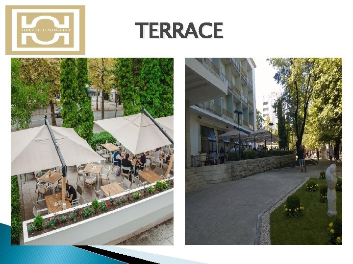 TERRACE 