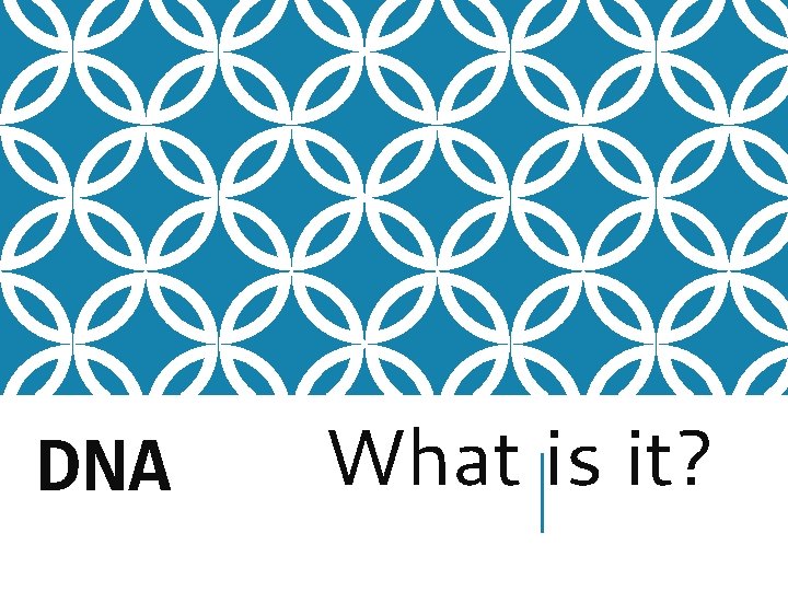 DNA What is it? DNA What is it?