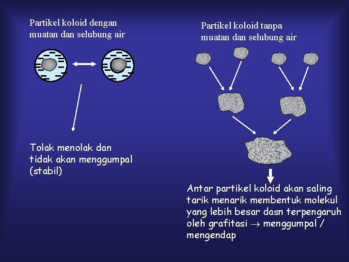 Partikel koloid dengan muatan dan selubung air Partikel koloid tanpa muatan dan selubung air