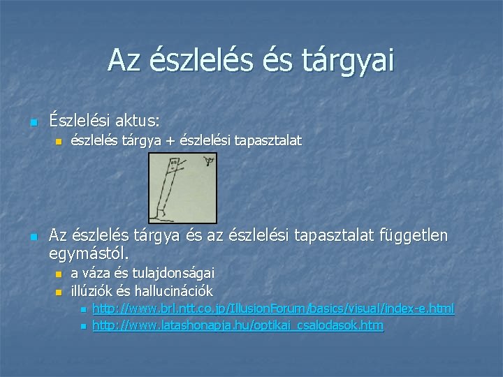 Az észlelés és tárgyai n Észlelési aktus: n n észlelés tárgya + észlelési tapasztalat