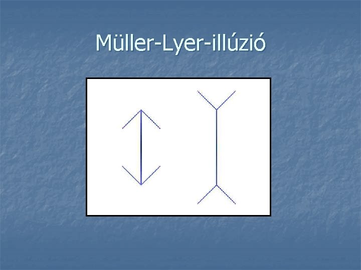 Müller-Lyer-illúzió 