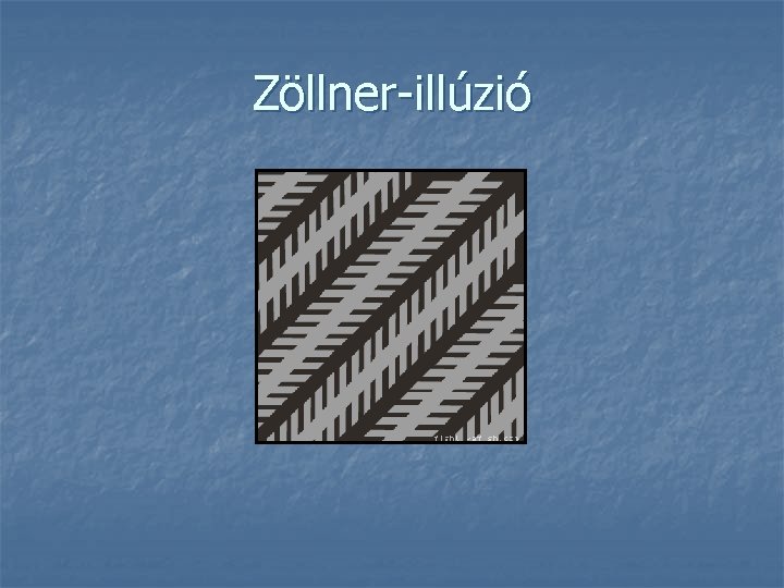 Zöllner-illúzió 