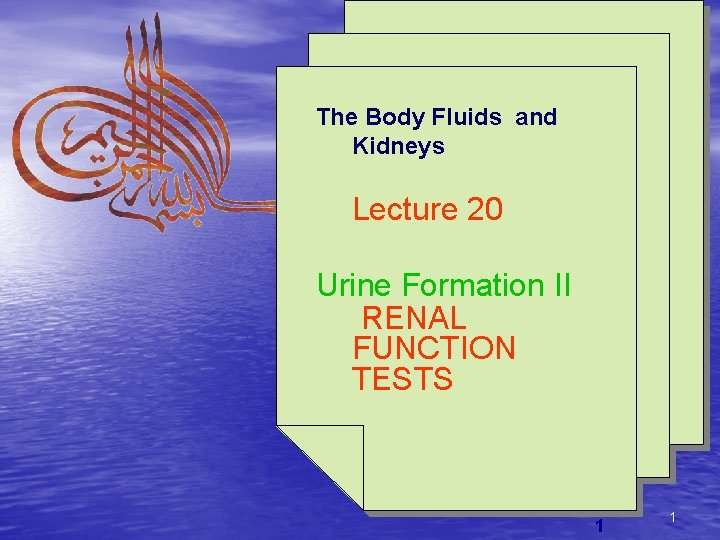 The Body Fluids and Kidneys Lecture 20 Urine Formation II RENAL FUNCTION TESTS 1