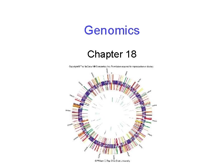 Genomics Chapter 18 