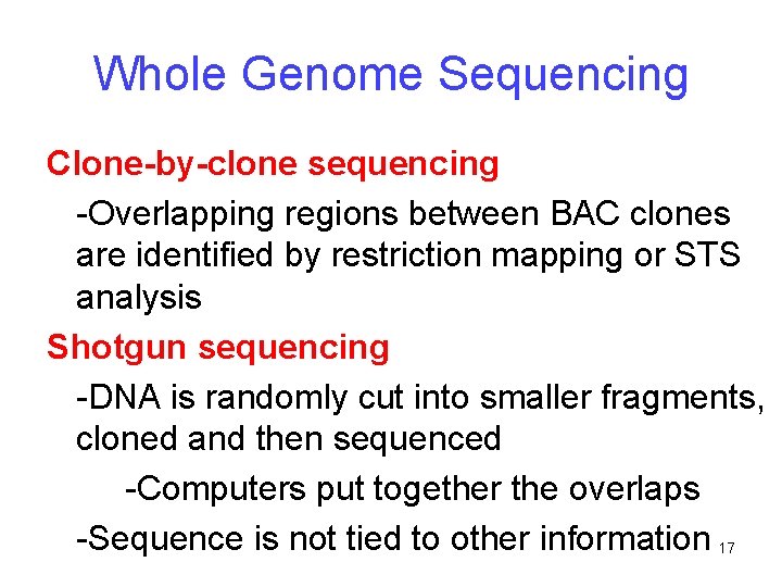 Whole Genome Sequencing Clone-by-clone sequencing -Overlapping regions between BAC clones are identified by restriction