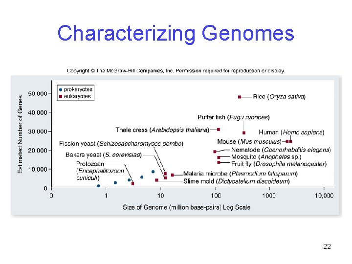 Characterizing Genomes 22 