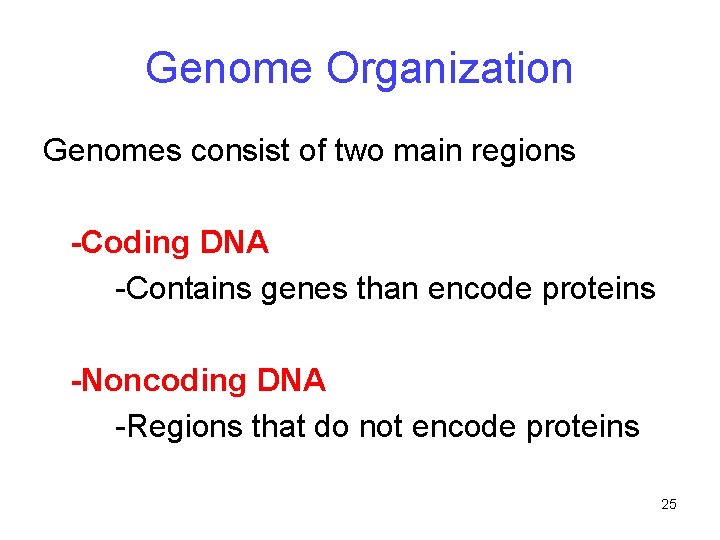 Genome Organization Genomes consist of two main regions -Coding DNA -Contains genes than encode