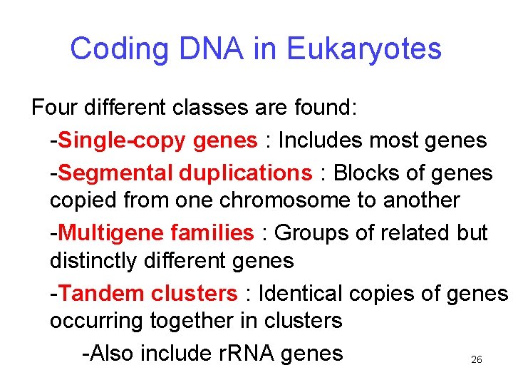 Coding DNA in Eukaryotes Four different classes are found: -Single-copy genes : Includes most