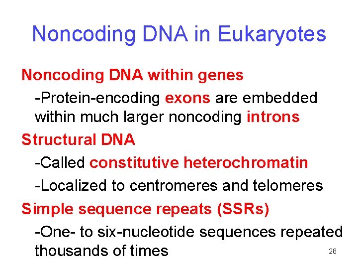 Noncoding DNA in Eukaryotes Noncoding DNA within genes -Protein-encoding exons are embedded within much