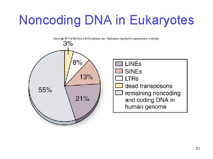 Noncoding DNA in Eukaryotes 31 