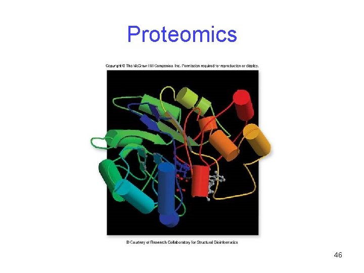Proteomics 46 