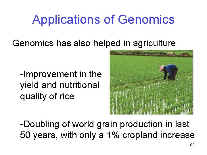 Applications of Genomics has also helped in agriculture -Improvement in the yield and nutritional