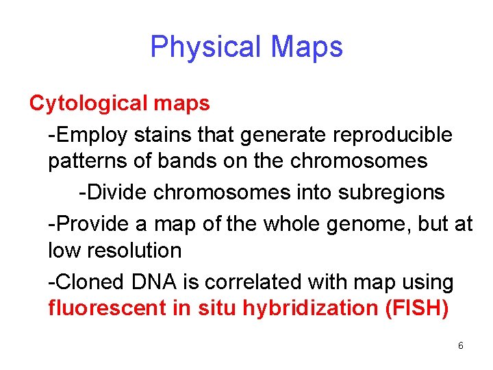Physical Maps Cytological maps -Employ stains that generate reproducible patterns of bands on the