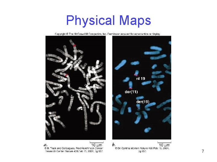 Physical Maps 7 