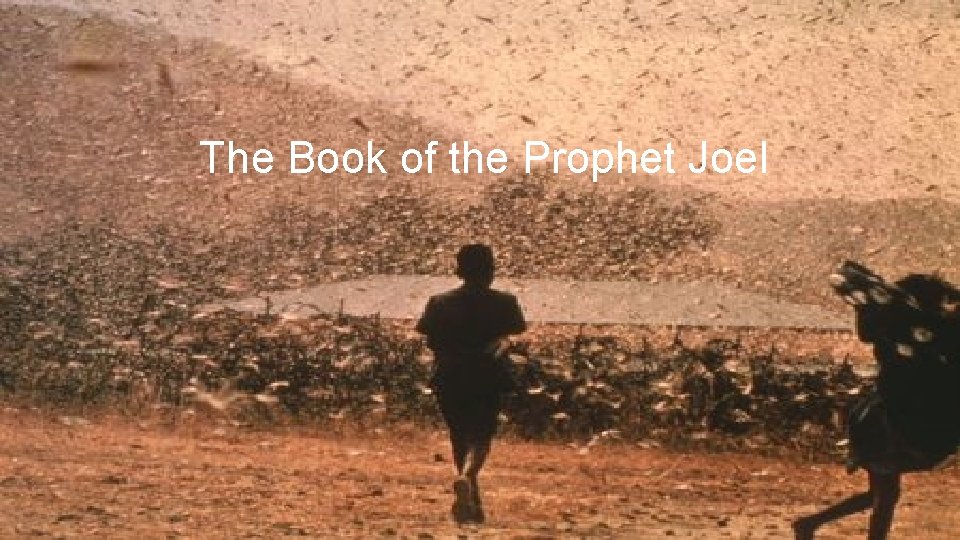 The Book of the Prophet Joel 