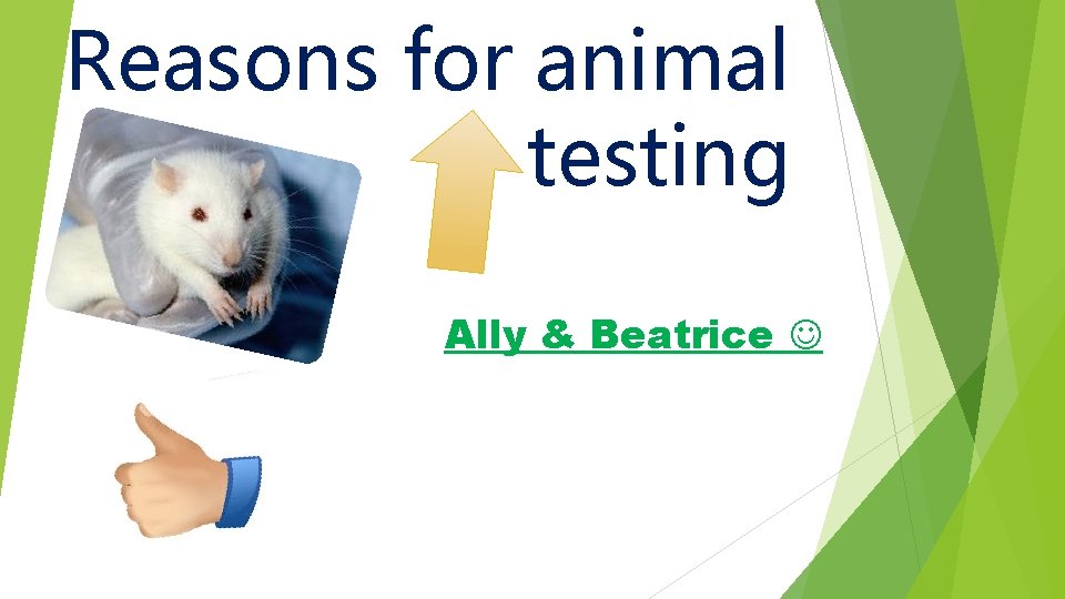 Reasons for animal testing Ally & Beatrice 
