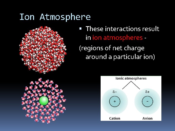 Ion Atmosphere These interactions result in ion atmospheres (regions of net charge around a