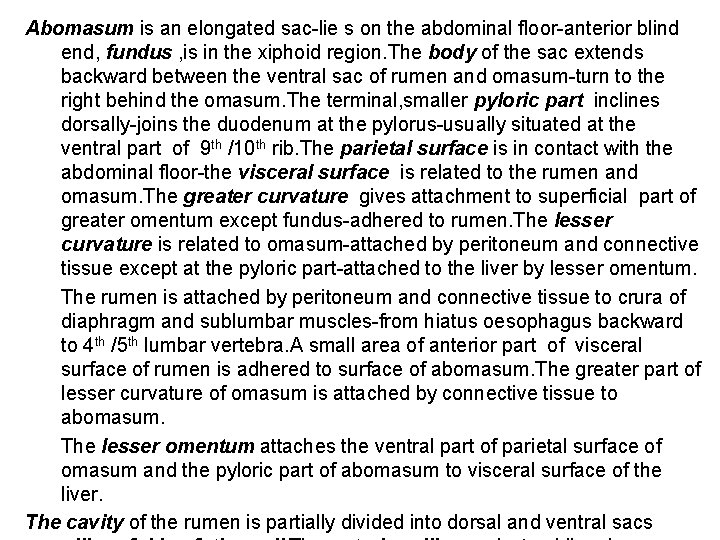 Abomasum is an elongated sac-lie s on the abdominal floor-anterior blind end, fundus ,
