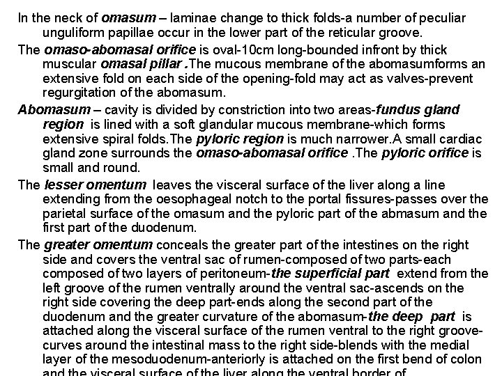 In the neck of omasum – laminae change to thick folds-a number of peculiar