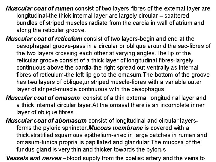 Muscular coat of rumen consist of two layers-fibres of the external layer are longitudinal-the